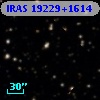IRAS 19229+1614