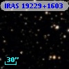 IRAS 19229+1603