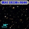 IRAS 19230+1644