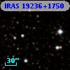 IRAS 19236+1750