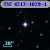 TYC 4217-1029-1