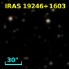 IRAS 19246+1603