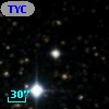 TYC 1599-1699-1