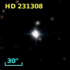 HD 231308