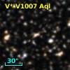 V* V1007 Aql