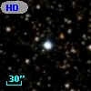 HD 231919