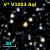 V* V1053 Aql