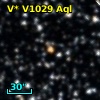 V* V1029 Aql