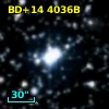BD+14  4036B