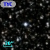TYC 1606-1082-1