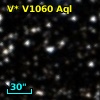 V* V1060 Aql