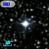 HD 354088