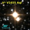 V* V1655 Aql