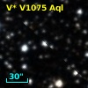 V* V1075 Aql