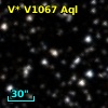 V* V1067 Aql