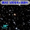 IRAS 19564+1604
