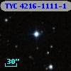 TYC 4216-1111-1