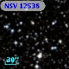 NSV 12538