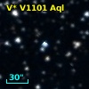 V* V1101 Aql