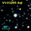 V* V1095 Aql