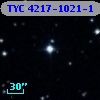 TYC 4217-1021-1