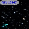 NSV 12847