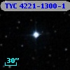 TYC 4221-1300-1