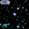 TYC 1631-349-1