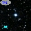 TYC 1631-905-1