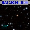 IRAS 20250+1344