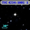 TYC 4234-1005-1