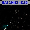 IRAS 20462+1230