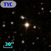 TYC 1101-31-1