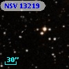 NSV 13219