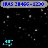 IRAS 20466+1230