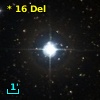 *  16 Del