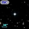 TYC 1102-1668-1