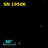 SN 1950K