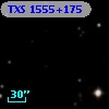 TXS 1555+175