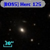 [BO85] Herc 125