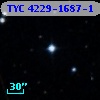 TYC 4229-1687-1