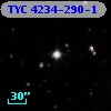 TYC 4234-290-1