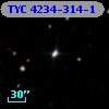 TYC 4234-314-1