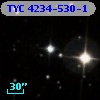 TYC 4234-530-1