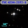 TYC 4234-2372-1