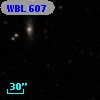WBL 607