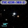 TYC 4238-303-1