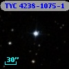 TYC 4238-1075-1