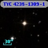 TYC 4238-1309-1