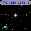 TYC 4238-1350-1